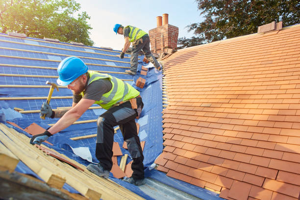 Best Roof Maintenance and Cleaning  in Mammoth Spring, AR